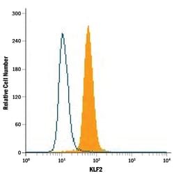 Human KLF2 PE-conjugated Antibody, R D Systems 25 Tests; PE:Antibodies,