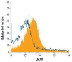Mouse L1CAM Antibody, R D Systems 100ug; Unlabeled:Antibodies, Monoclonal