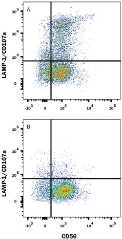 Human LAMP-1/CD107a Alexa Fluor 488-conjugated Antibody, R D Systems 100