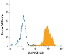 Human LAMP2/CD107b Antibody, R D Systems 100ug; Unlabeled:Antibodies, Monoclonal