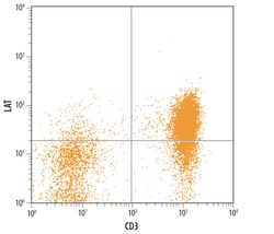 Human LAT Antibody, R D Systems 100ug; Unlabeled:Antibodies, Monoclonal