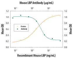 Mouse LBP Antibody, R D Systems 500ug; Unlabeled:Antibodies, Monoclonal