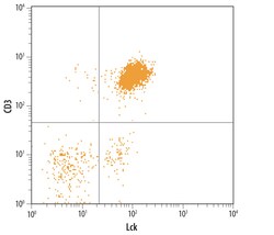Human Lck Antibody, R D Systems 100ug; Unlabeled:Antibodies, Monoclonal
