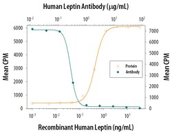 Human Leptin/OB Antibody, R D Systems 100&mu;g; Unlabeled:Antibodies, Polyclonal
