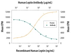 Human Leptin/OB Antibody, R D Systems:Antibodies:Primary Antibodies