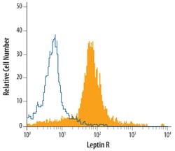 Human Leptin R Antibody, R D Systems 25&mu;g; Unlabeled:Antibodies, Monoclonal