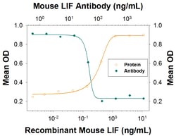 Mouse LIF Antibody, R D Systems 1mg; Unlabeled:Antibodies, Polyclonal