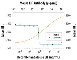 Mouse LIF Antibody, R D Systems 100&mu;g; Unlabeled:Antibodies, Polyclonal