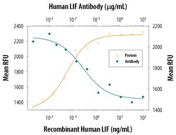 Human LIF Antibody, R D Systems:Antibodies:Primary Antibodies