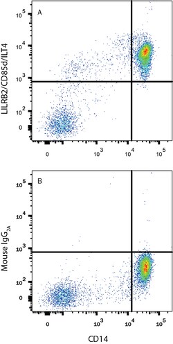 Human LILRB2/CD85d/ILT4 Antibody, R D Systems 25&mu;g; Unlabeled:Antibodies,