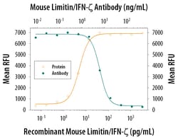 Mouse Limitin/IFN-zeta Antibody, R D Systems 100&mu;g; Unlabeled:Antibodies,