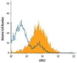 Mouse LRIG1 Antibody, R D Systems 25&mu;g; Unlabeled:Antibodies, Polyclonal