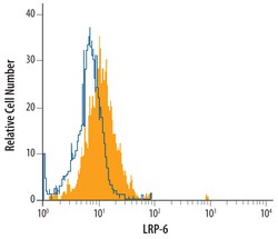 Human LRP-6 Antibody, R D Systems 25 &mu;g | Buy Online | R&D Systems | Fisher Scientific