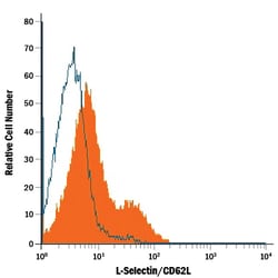 Mouse L-Selectin/CD62L Fluorescein-conjugated Antibody, R D Systems 100