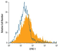 Mouse LYVE-1 Antibody, R D Systems:Antibodies:Primary Antibodies