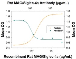 Rat MAG/Siglec-4a Antibody, R D Systems 25&mu;g; Unlabeled:Antibodies,