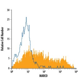 Mouse MARCO APC-conjugated Antibody, R D Systems 100 Tests; APC:Antibodies,