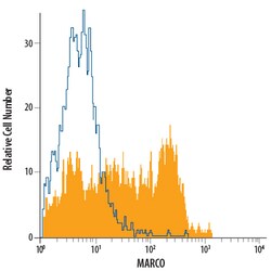 Mouse MARCO Fluorescein-conjugated Antibody, R D Systems 100 Tests; Fluorescein:Antibodies,