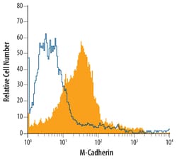 Human M-Cadherin/Cadherin-15 Antibody, R D Systems 25&mu;g; Unlabeled:Antibodies,