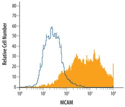 Rat MCAM/CD146 Biotinylated Antibody, R D Systems 50&mu;g; Biotin:Antibodies,