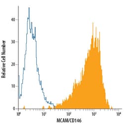 Human MCAM/CD146 PE-conjugated Antibody, R D Systems:Antibodies:Primary