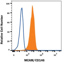 Rat MCAM/CD146 Antibody, R D Systems 25&mu;g; Unlabeled:Antibodies, Monoclonal