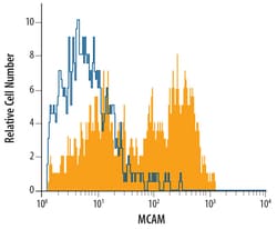 Mouse MCAM/CD146 Antibody, R D Systems 25&mu;g; Unlabeled:Antikörper