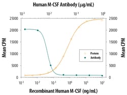 Human M-CSF Antibody, R D Systems 25&mu;g; Unlabeled:Antibodies, Monoclonal