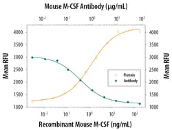 Mouse M-CSF Antibody, R D Systems 500&mu;g; Unlabeled:Antibodies, Monoclonal