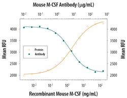 Mouse M-CSF Antibody, R D Systems 25&mu;g; Unlabeled:Antibodies, Monoclonal