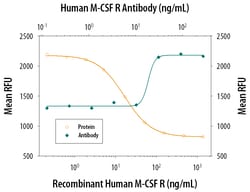 Human M-CSF R/CD115 Antibody, R D Systems 25&mu;g; Unlabeled:Antibodies,