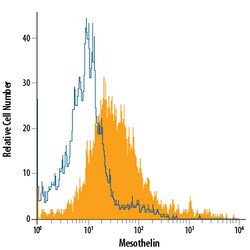 Human Mesothelin Alexa Fluor 700-conjugated Antibody, R D Systems 100 Tests;
