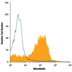 Human Mesothelin PE-conjugated Antibody, R D Systems 100 Tests; PE:Antibodies,