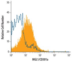 Mouse MGL1/CD301a Antibody, R D Systems 25&mu;g; Unlabeled:Antibodies,