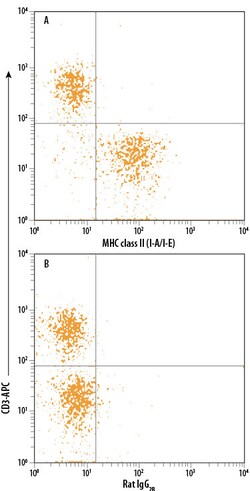Mouse MHC class II (I-A/I-E) Fluorescein-conjugated Antibody, R D Systems