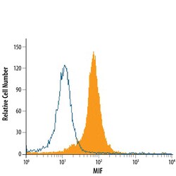 Mouse/Rat MIF Antibody, R D Systems 25&mu;g; Unlabeled:Antibodies, Monoclonal
