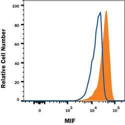 Human MIF Antibody, R D Systems 100&mu;g; Unlabeled:Antibodies, Monoclonal
