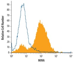 Human MINA Antibody, R D Systems 100ug; Unlabeled:Antibodies, Monoclonal