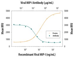 Viral MIP-I Antibody, R D Systems 25&mu;g; Unlabeled:Antibodies, Monoclonal