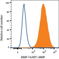 Human MMP-14/MT1-MMP Antibody, R D Systems:Antibodies:Primary Antibodies