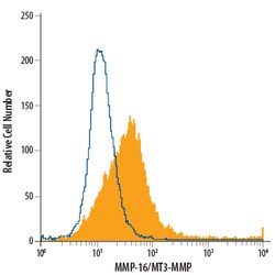 Human MMP-16/MT3-MMP Antibody, R D Systems 100ug; Unlabeled:Antibodies,