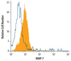 Mouse MMP-7 Antibody, R D Systems 25&mu;g; Unlabeled:Antibodies, Monoclonal