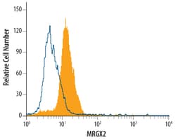 Human MRGX2 Antibody, R D Systems 100ug; Unlabeled:Antibodies, Monoclonal