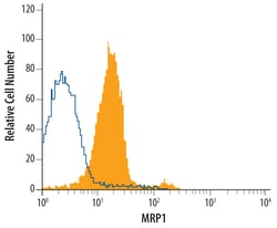 Human MRP1 Antibody, R D Systems 25&mu;g; Unlabeled:Antibodies, Monoclonal