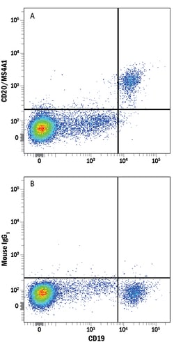 Human CD20 Alexa Fluor 405-conjugated Antibody, R D Systems:Antibodies:Primary