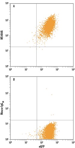 Human MS4A4A PE-conjugated Antibody, R D Systems 100 Tests; PE:Antibodies,