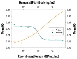 Human MSP/MST1 Antibody, R D Systems 100&mu;g; Unlabeled:Antibodies, Polyclonal