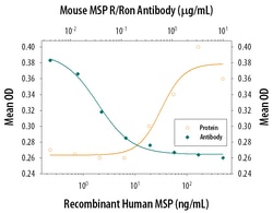 Mouse MSPR/Ron Antibody, R D Systems 25&mu;g; Unlabeled:Antibodies, Polyclonal