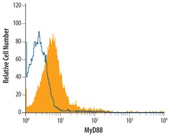 Human MyD88 Antibody, R D Systems 25&mu;g; Unlabeled:Antibodies, Monoclonal