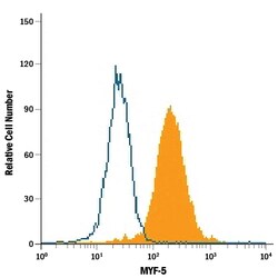 Human/Mouse MYF-5 Antibody, R D Systems 100 &mu;g | Buy Online | R&D Systems | Fisher Scientific